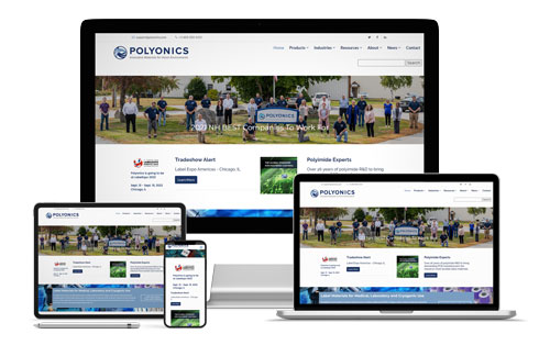 Polyonics client for Website Design/Development - Maintenance -  SEM - SEO